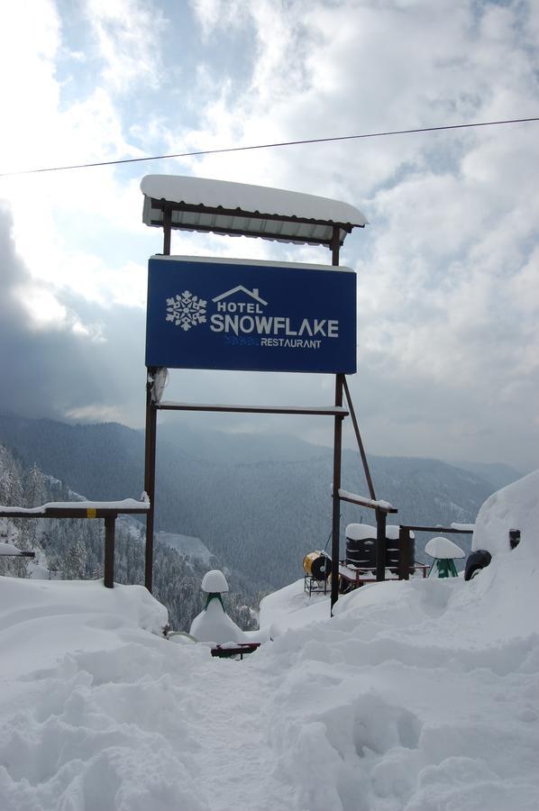 Hotel Snowflake Nārkanda Exteriör bild